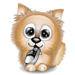 Fuzzy Cat With Shoe Emoticons